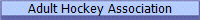 Adult Hockey Association 